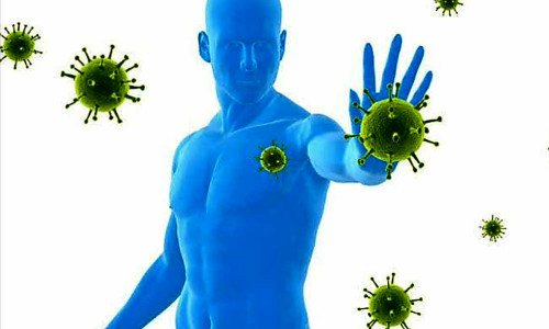 Bağışıklık Sistemini Güçlendirme Yöntemleri